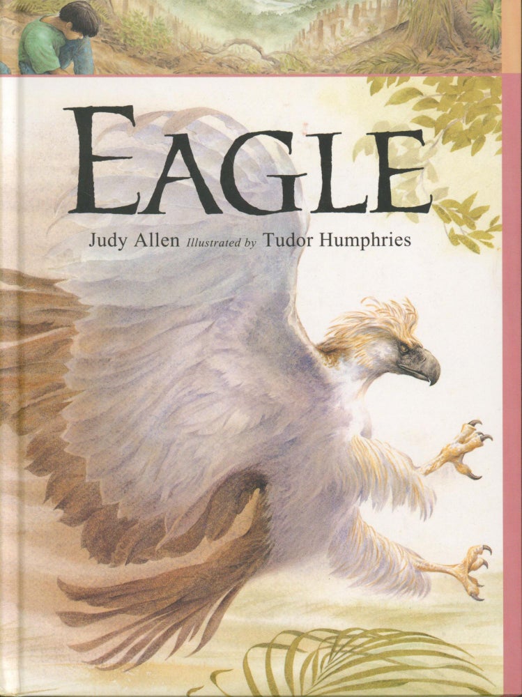 Item #27032 Eagle. Judy Allen.