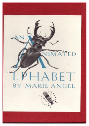 Item #29797 An Animated Alphabet. Marie Angel