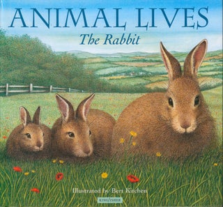 Item #33265 Animal Lives: The Rabbit. Sally Tagholm, Bert ill Kitchen